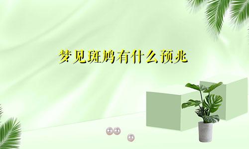 梦见斑鸠有什么预兆