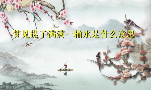 梦见提了满满一桶水是什么意思