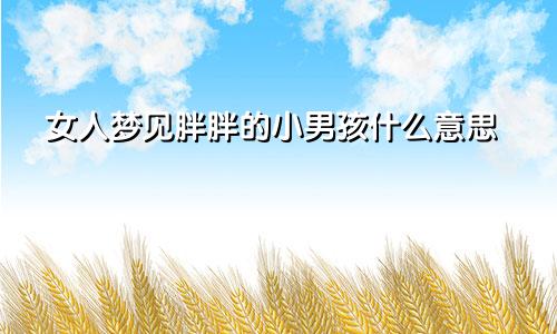 女人梦见胖胖的小男孩什么意思