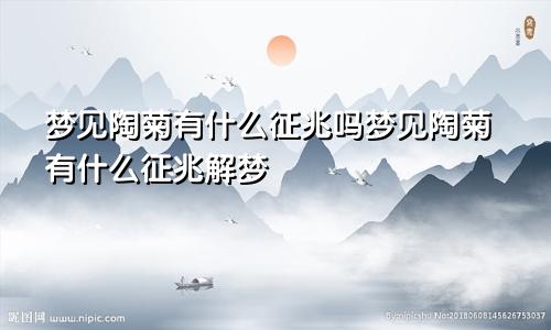 梦见陶菊有什么征兆吗梦见陶菊有什么征兆解梦