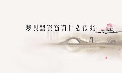 梦见栽菜苗有什么预兆