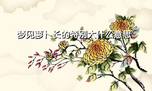 梦见萝卜长的特别大什么意思