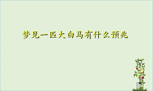 梦见一匹大白马有什么预兆
