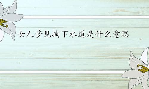 女人梦见掏下水道是什么意思
