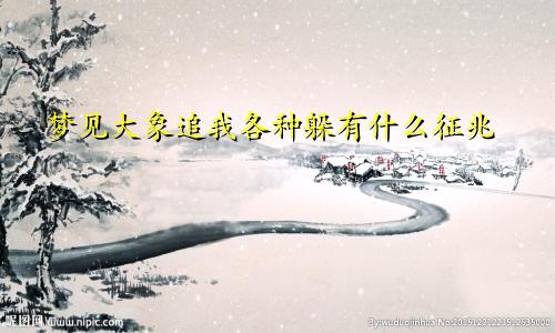 梦见大象追我各种躲有什么征兆