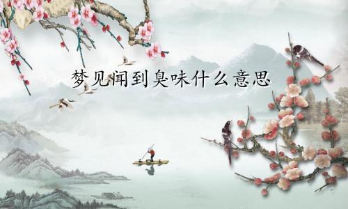 梦见闻到臭味什么意思