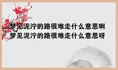 梦见泥泞的路很难走什么意思啊梦见泥泞的路很难走什么意思呀