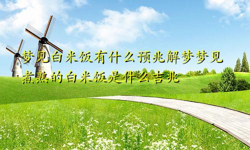 梦见白米饭有什么预兆解梦梦见煮熟的白米饭是什么吉兆