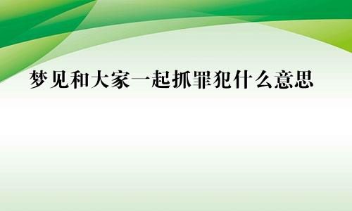 梦见和大家一起抓罪犯什么意思