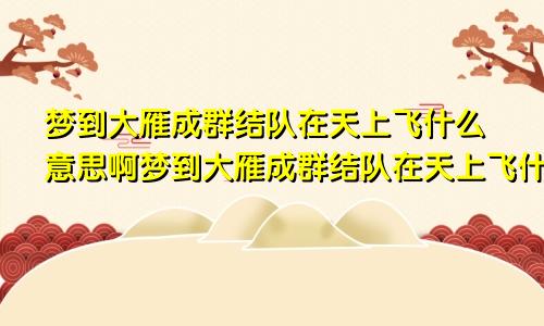梦到大雁成群结队在天上飞什么意思啊梦到大雁成群结队在天上飞什么意思呀