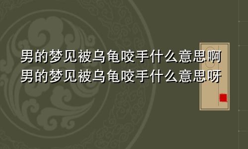 男的梦见被乌龟咬手什么意思啊男的梦见被乌龟咬手什么意思呀