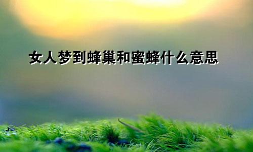 女人梦到蜂巢和蜜蜂什么意思