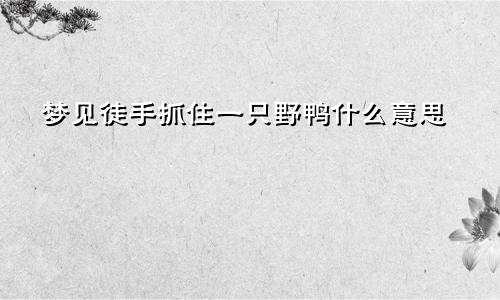 梦见徒手抓住一只野鸭什么意思