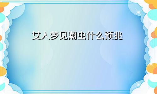 女人梦见潮虫什么预兆