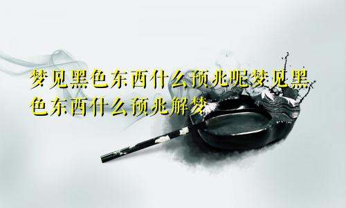 梦见黑色东西什么预兆呢梦见黑色东西什么预兆解梦