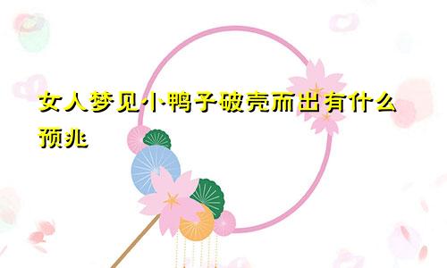 女人梦见小鸭子破壳而出有什么预兆