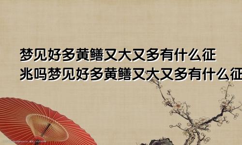 梦见好多黄鳝又大又多有什么征兆吗梦见好多黄鳝又大又多有什么征兆解梦