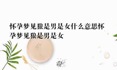 怀孕梦见狼是男是女什么意思怀孕梦见狼是男是女