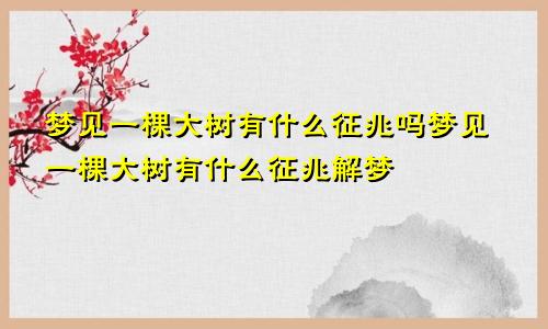 梦见一棵大树有什么征兆吗梦见一棵大树有什么征兆解梦