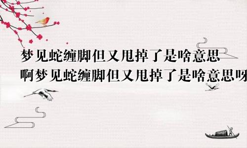 梦见蛇缠脚但又甩掉了是啥意思啊梦见蛇缠脚但又甩掉了是啥意思呀