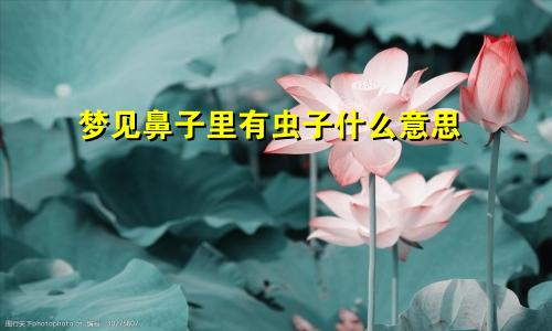 梦见鼻子里有虫子什么意思