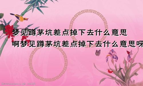 梦见蹲茅坑差点掉下去什么意思啊梦见蹲茅坑差点掉下去什么意思呀