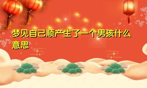 梦见自己顺产生了一个男孩什么意思