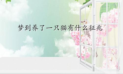 梦到养了一只猫有什么征兆