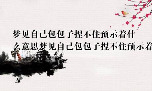 梦见自己包包子捏不住预示着什么意思梦见自己包包子捏不住预示着什么呢