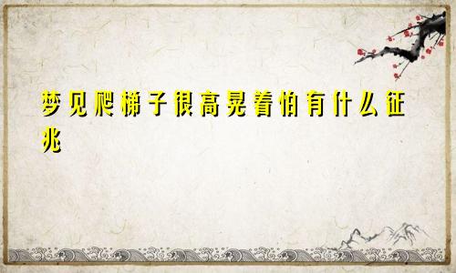 梦见爬梯子很高晃着怕有什么征兆