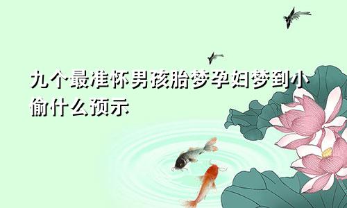 九个最准怀男孩胎梦孕妇梦到小偷什么预示
