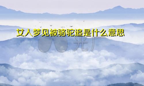 女人梦见被骆驼追是什么意思