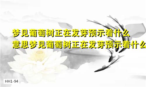 梦见葡萄树正在发芽预示着什么意思梦见葡萄树正在发芽预示着什么预兆