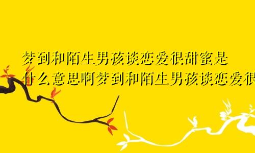 梦到和陌生男孩谈恋爱很甜蜜是什么意思啊梦到和陌生男孩谈恋爱很甜蜜是什么意思呀