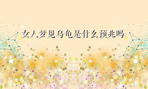 女人梦见乌龟是什么预兆吗