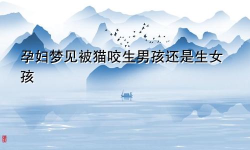 孕妇梦见被猫咬生男孩还是生女孩