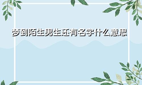 梦到陌生男生还有名字什么意思
