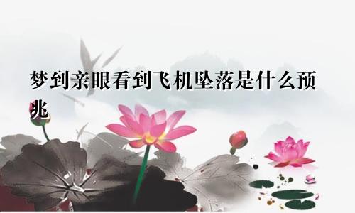 梦到亲眼看到飞机坠落是什么预兆