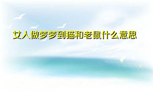 女人做梦梦到猫和老鼠什么意思