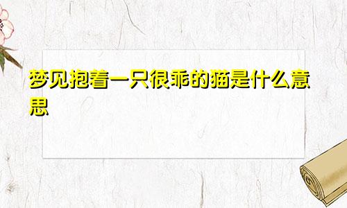梦见抱着一只很乖的猫是什么意思