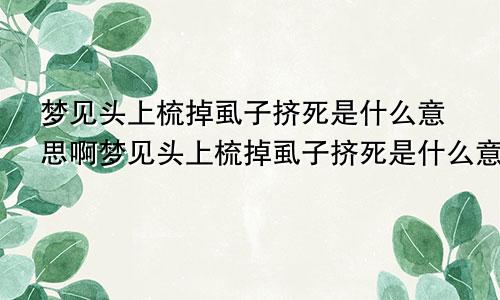 梦见头上梳掉虱子挤死是什么意思啊梦见头上梳掉虱子挤死是什么意思呀