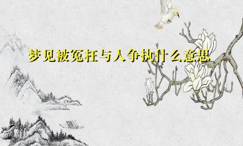 梦见被冤枉与人争执什么意思