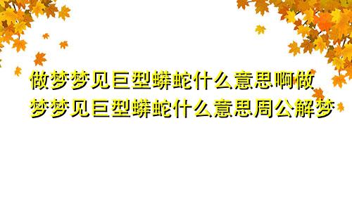 做梦梦见巨型蟒蛇什么意思啊做梦梦见巨型蟒蛇什么意思周公解梦