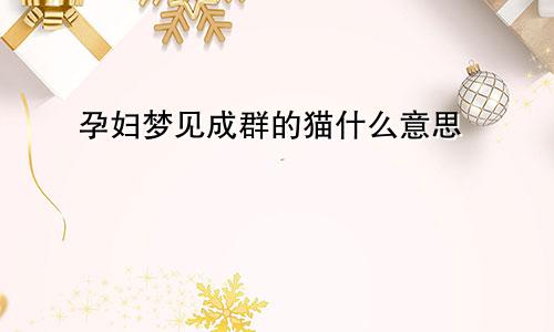 孕妇梦见成群的猫什么意思