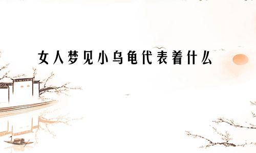 女人梦见小乌龟代表着什么