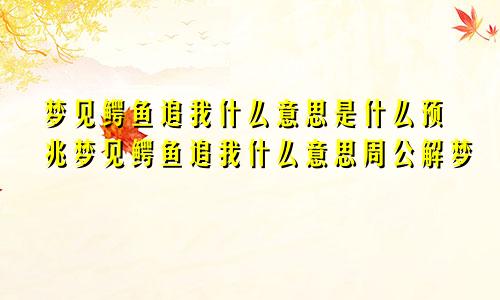 梦见鳄鱼追我什么意思是什么预兆梦见鳄鱼追我什么意思周公解梦