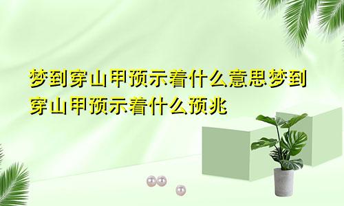 梦到穿山甲预示着什么意思梦到穿山甲预示着什么预兆