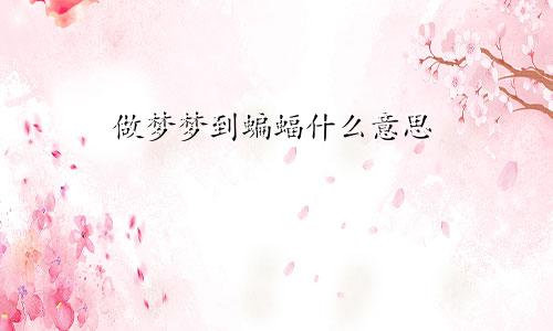 做梦梦到蝙蝠什么意思