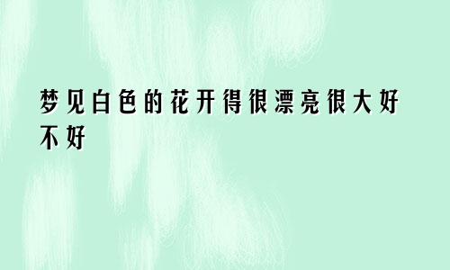梦见白色的花开得很漂亮很大好不好