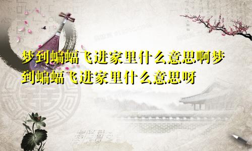 梦到蝙蝠飞进家里什么意思啊梦到蝙蝠飞进家里什么意思呀